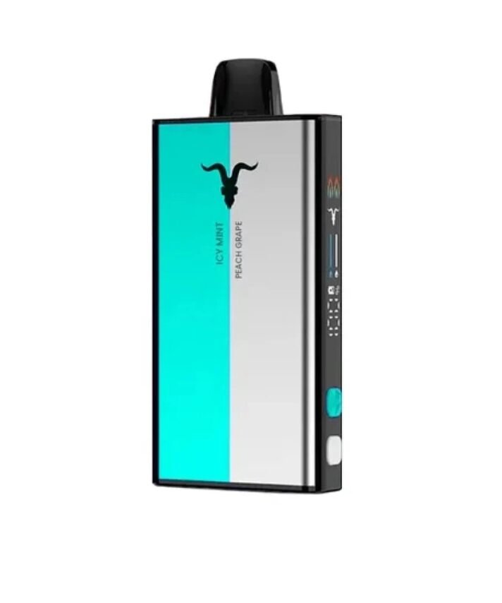 IGNITE VMIX 40K ICY MINT + PEACH GRAPE